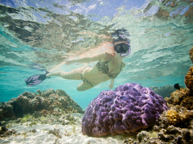 Resort guest snorkels to explore the trove of treasures beneath the blue lagoon