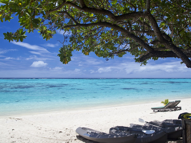 Image of kayaks neatly lined up on the beach, showing off a clear blue lagoon background