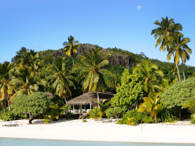 A stunning hideaway image of the Premium Beachfront Bungalow, situated on a clear white sandy beach, perfectly built between two tall palm trees