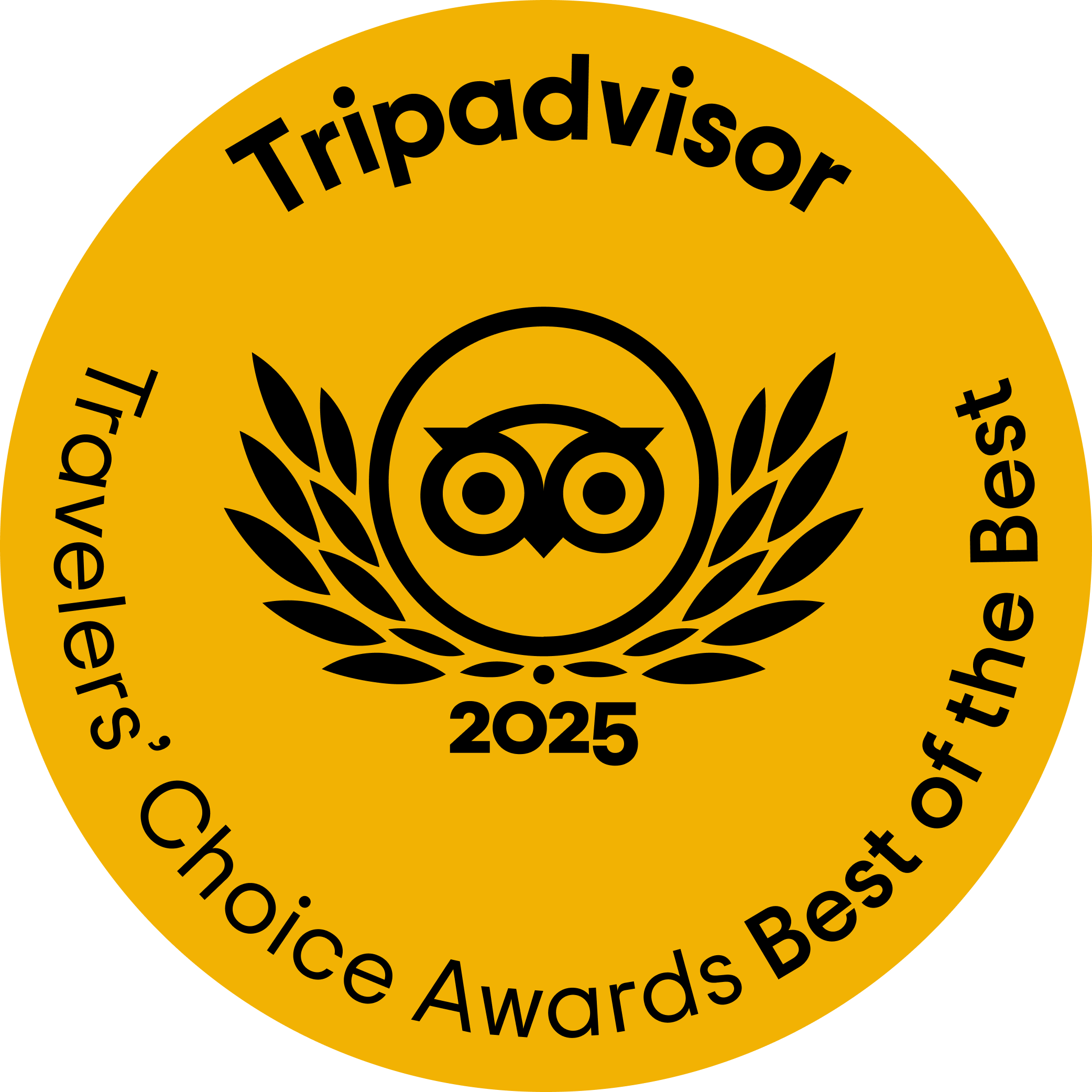 TripAdvisor 2025