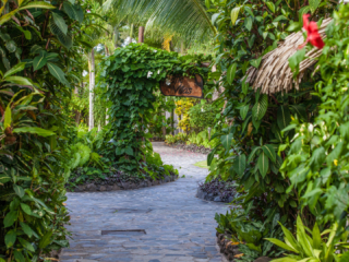 An image featuring a well designed pathway along the Pacific garden