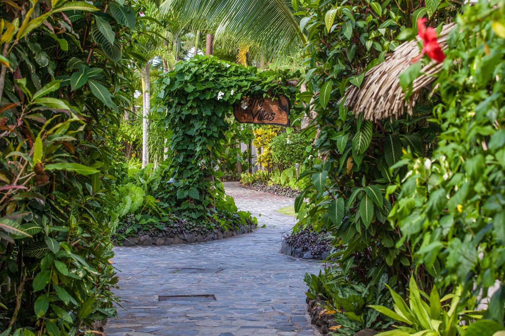 An image featuring a well designed pathway along the Pacific garden