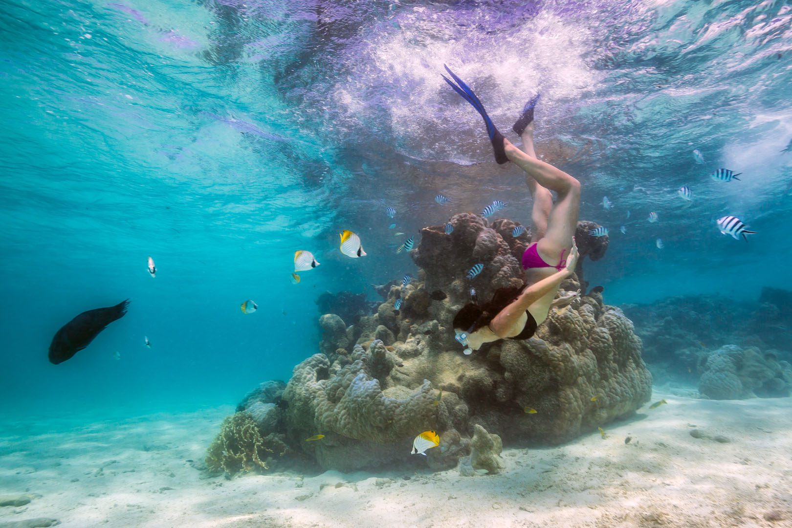 A beautiful image of the trove of treasures beneath the lagoon explored by a resort guest snorkeling along Muri waters