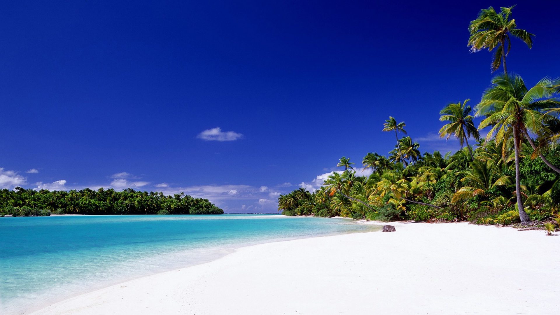 View of Aitutaki clear blue lagoon, white sand & swaying coconut trees on a beautiful day