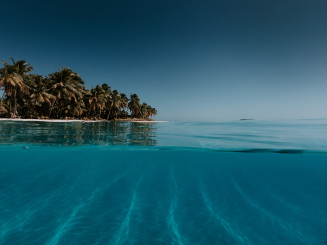 Bold deep blue lagoon in Aitutaki with palm trees in the background