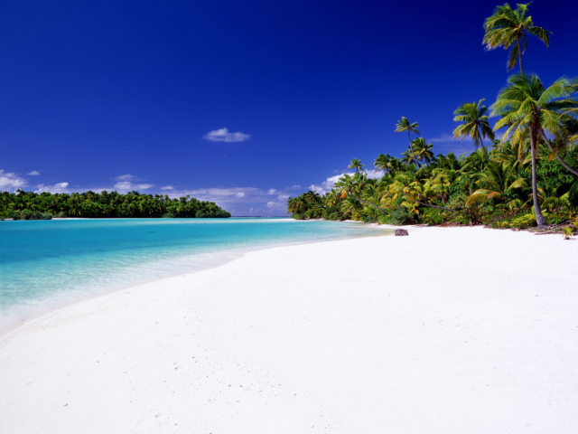 A stunning image of the One Foot Island, a secluded section reserved for day-trippers that shows off its clear white sandy beach , tall green palm trees and the tempting blue lagoon