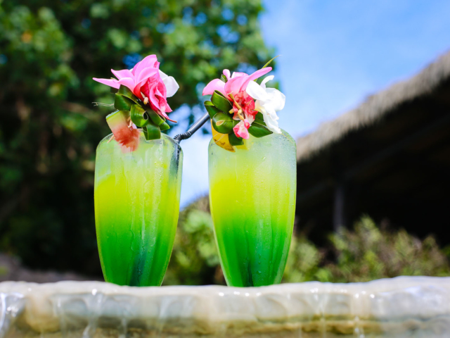 Refreshing glasses of tropical drink garnished with frangipani and a slice of fruit