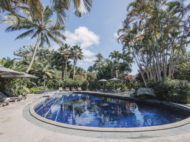 A perfect image of the Resort swimming pool and sun loungers beautifully set up featuring a spectacular tropical lush garden surroundings