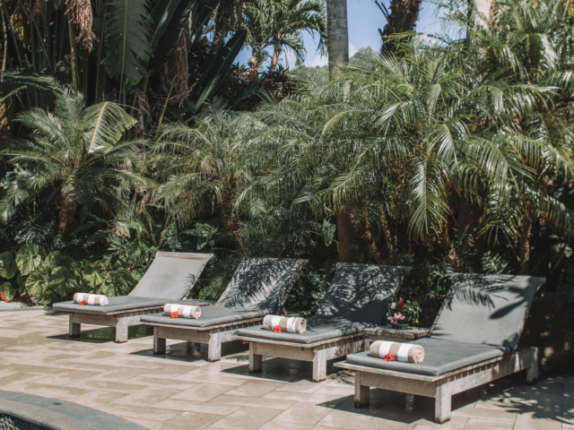 Image of the Resort swimming pool loungers beautifully lined up under shady-trimmed palm trees featuring pool towels neatly rolled up with a red hibiscus flower on each lounge
