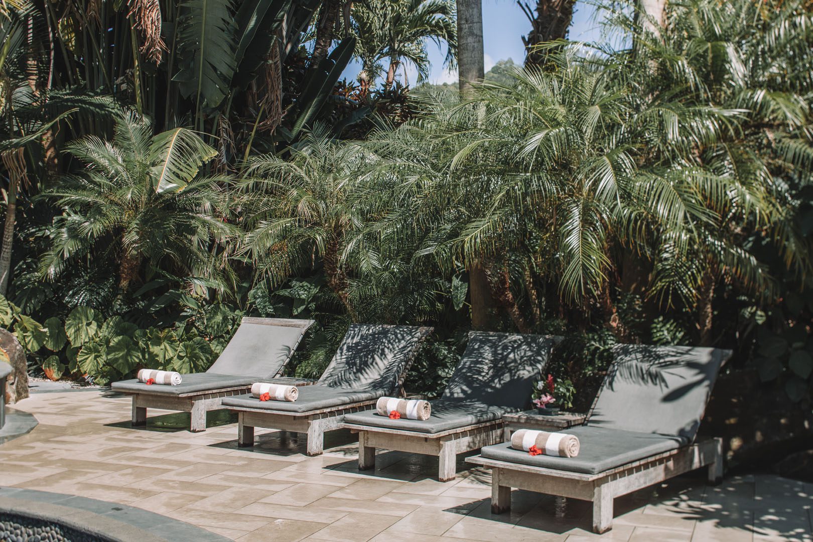 Image of the Resort swimming pool loungers beautifully lined up under shady-trimmed palm trees featuring pool towels neatly rolled up with a red hibiscus flower on each lounge