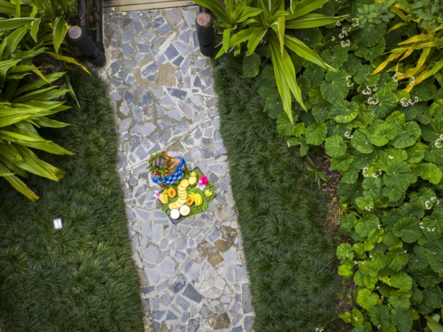 Aerial image of a restaurant attendant walks on a smooth pathway along the lush garden, holding a tropical garden fruit platter garnished with beautiful seasonal flowers
