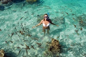 Female guest swimming with and surrounded by marine life in Aitutaki